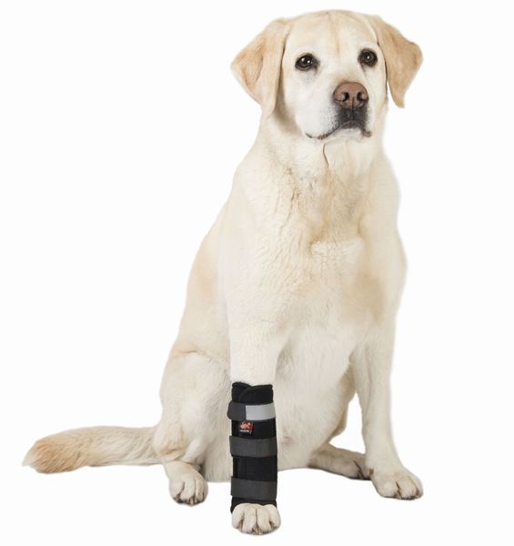 Frakishtak Veterinary Wrist Bandage with Stiffeners for Right Paw XXS