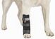 Frakishtak Veterinary Wrist Bandage with Stiffeners for Right Paw XXS