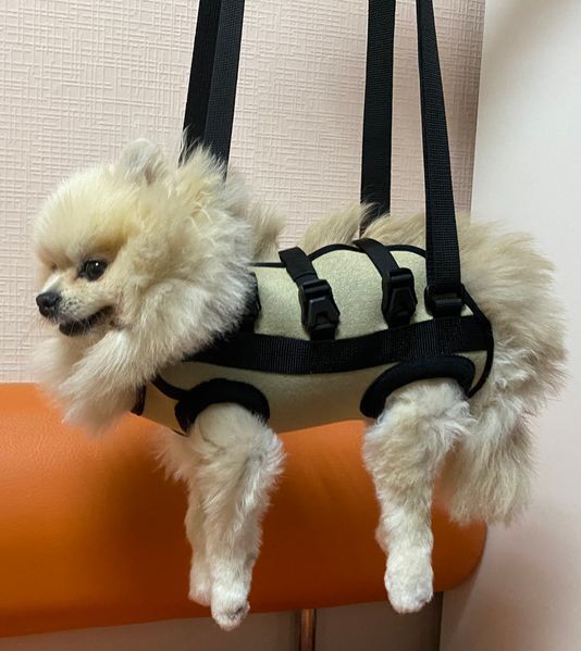 Pet Outdoor Sling Bag Okey Doggy, size XXS Black