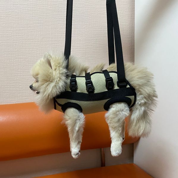 Pet Outdoor Sling Bag Okey Doggy, size XXS Black