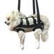 Pet Outdoor Sling Bag Okey Doggy, size XXS Black