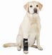 Frakishtak Animal Wrist Brace Standard XXS Left Paw