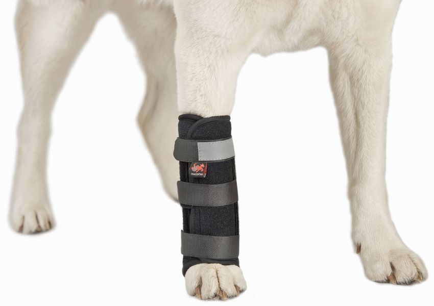 Frakishtak Animal Wrist Brace Standard XXS Left Paw