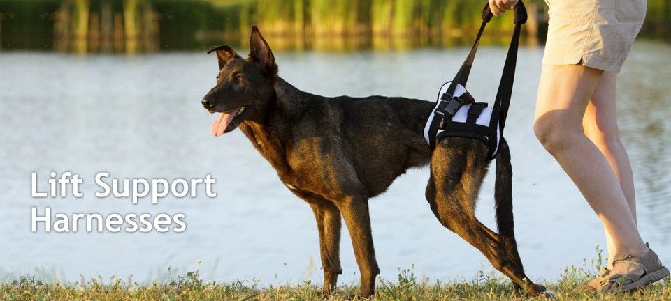 Leg Support Harnesses