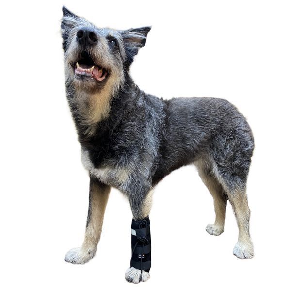 Frakishtak Reinforced Wrist Wrap with Finger Loop Right Leg XS