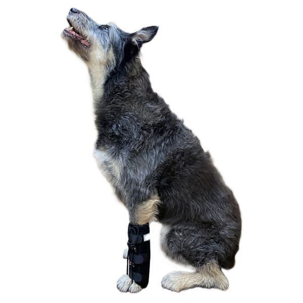 Frakishtak Reinforced Wrist Wrap with Finger Loop Right Leg XS