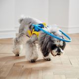 Adjustable Protective Halo Ring for Blind Dogs and Cats Size M