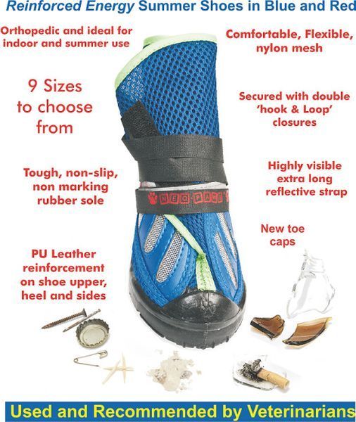 Ортопедичні черевики для собак Neopaws Summer Reinforced Blue S 798456 фото