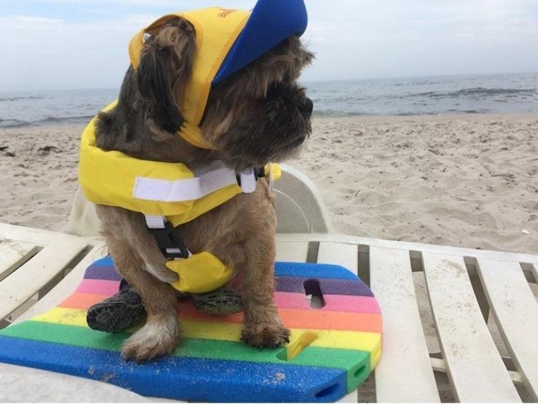 Neo-Paws Life Nylon Dog Life Jacket Yellow XS