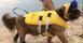 Neo-Paws Life Nylon Dog Life Jacket Yellow XS