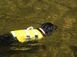 Neo-Paws Life Nylon Dog Life Jacket Yellow XS
