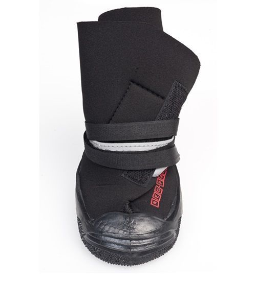 Зимние ботинки для собак Neo Paws High Performance Neoprene Black размер M 786459 фото